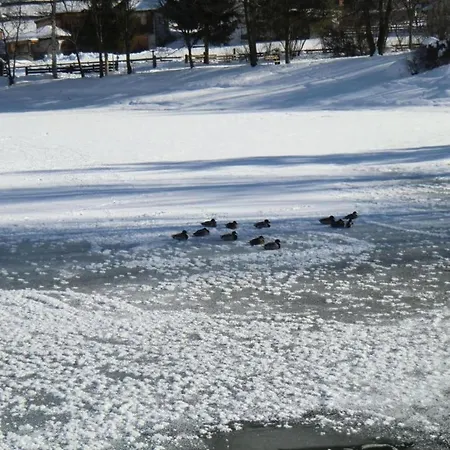 In Neustift Near Lift *