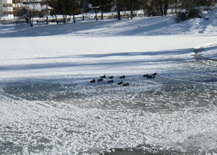 In Neustift Near Lift *